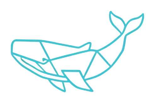 Whale.fun
